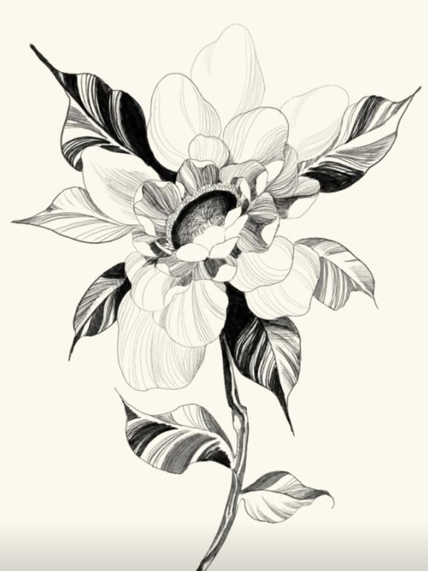Imperial Peony Blossom