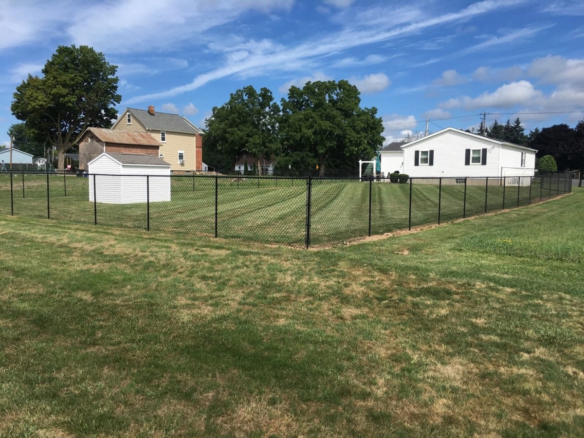 Black Chain Link Fence on manicured property